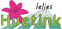 huetink lelies