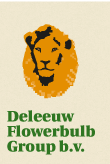 Harry de Leeuw