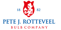 rotteveel en zonen