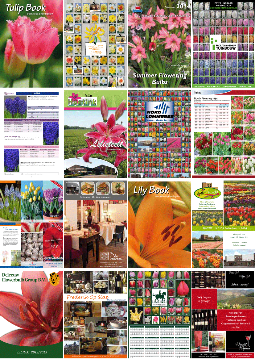 drukwerkdesign lisse fotografie lisse bloembollen